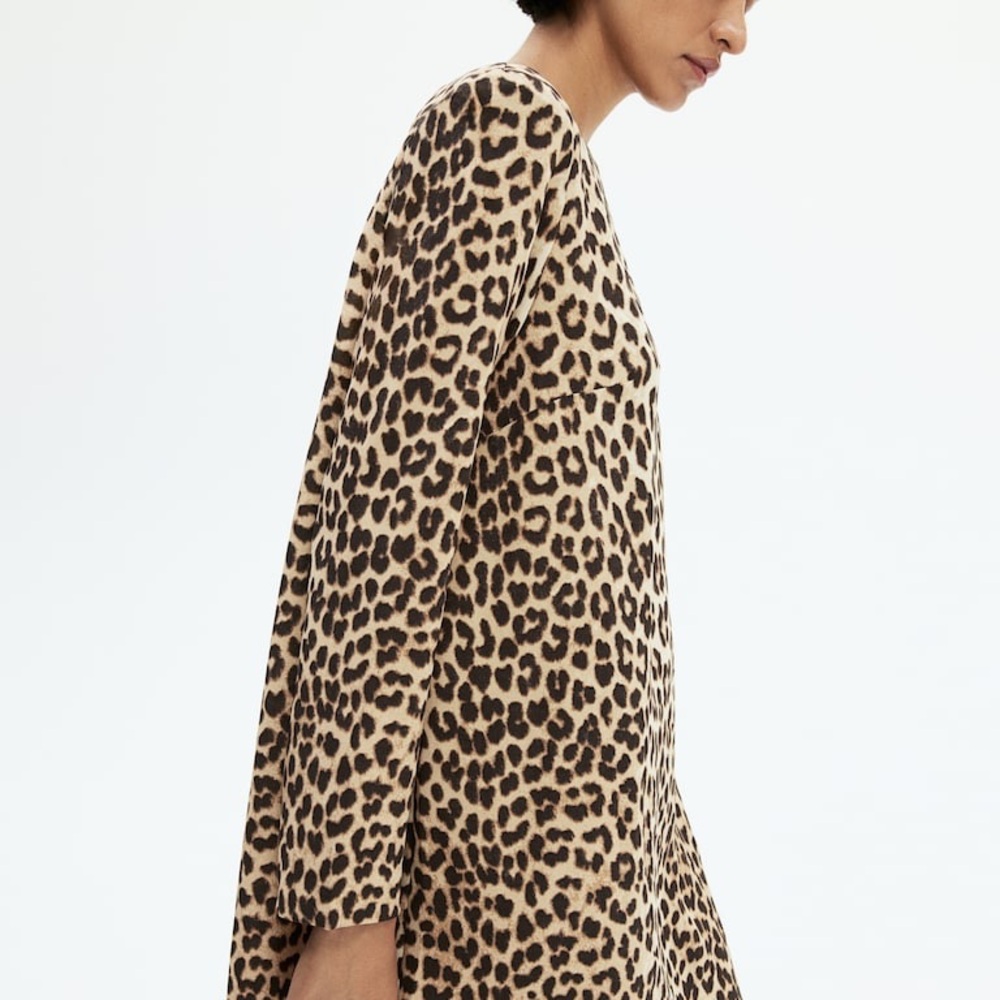 H&M Leopard Print Mini Dress